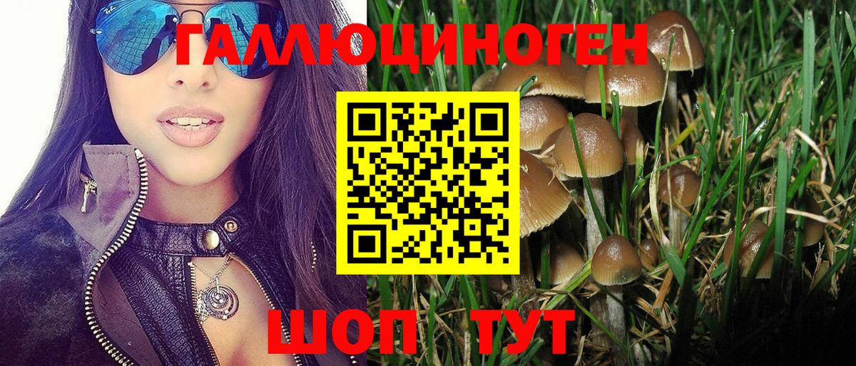 Псилоцибиновые грибы Cubensis  Вход с VPN  Тара  Псилоцибиновые грибы мухоморы 